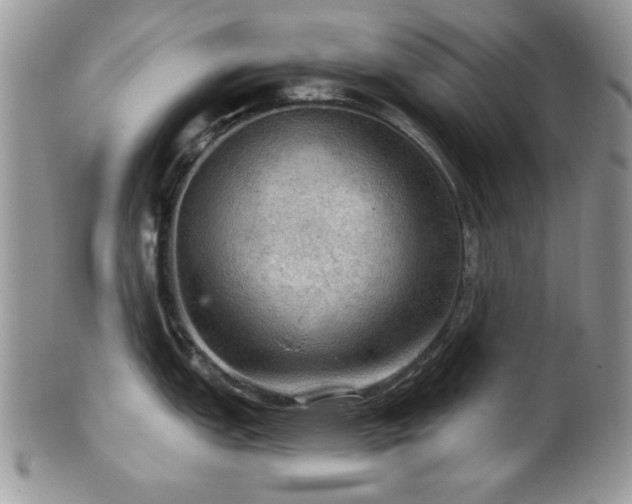 X0000102241151200807251254