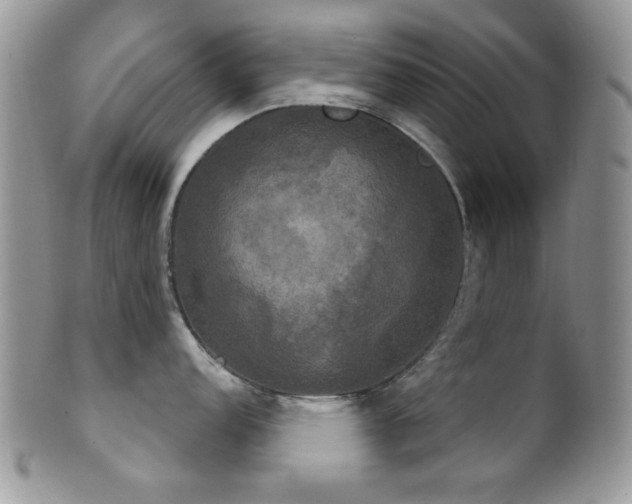 X0000102241152200807251254