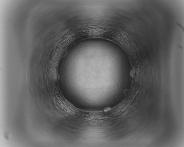 X0000102241153200807251253