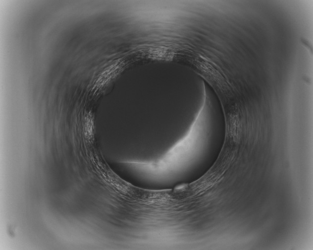 X0000102241154200807251253