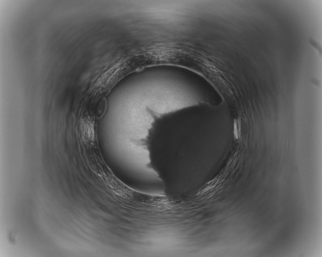 X0000102241155200807251253