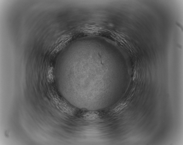 X0000102241156200807251253