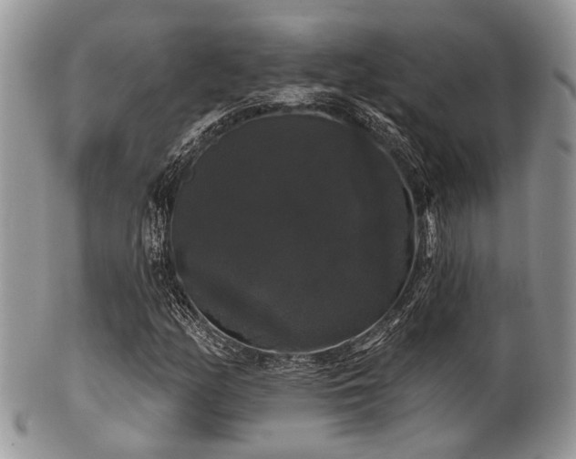 X0000102241158200807251253