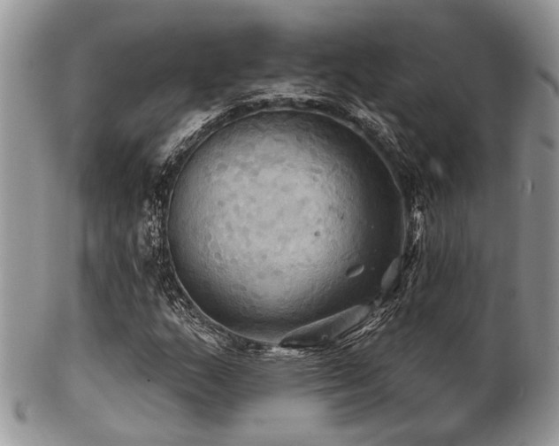 X0000102241159200807251253