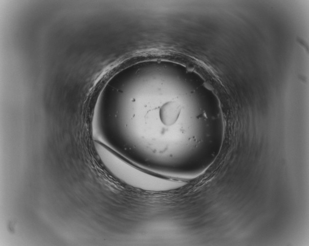 X0000102241160200807251253