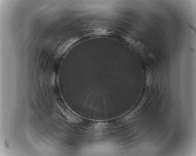 X0000102241161200807251253