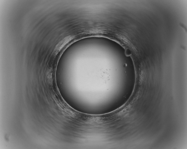 X0000102241162200807251253