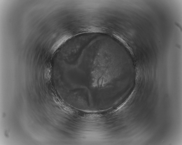 X0000102241163200807251253