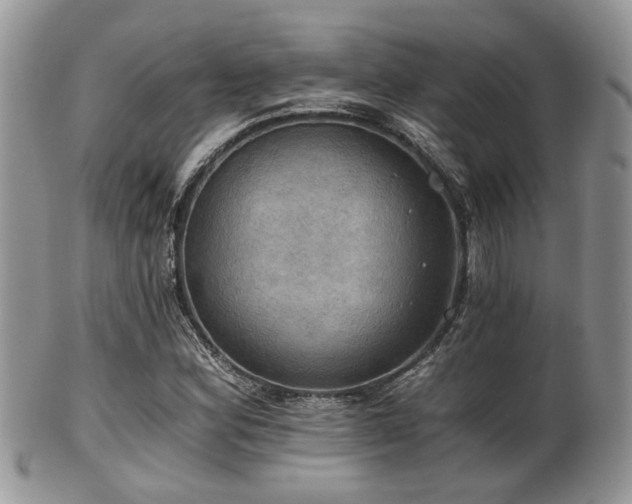 X0000102241164200807251253