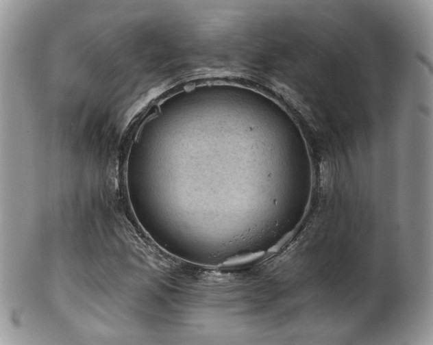 X0000102241165200807251253