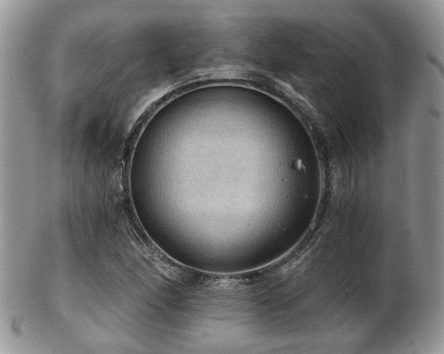 X0000102241166200807251253