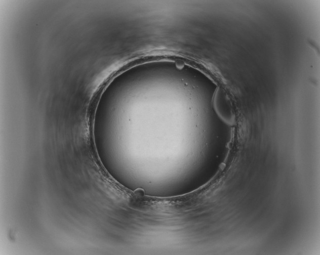 X0000102241167200807251253