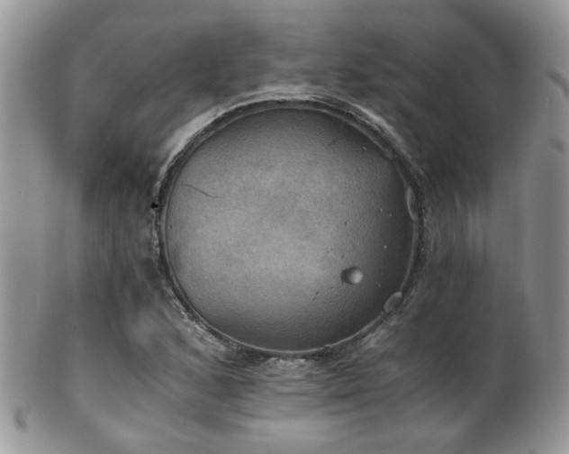 X0000102241168200807251253