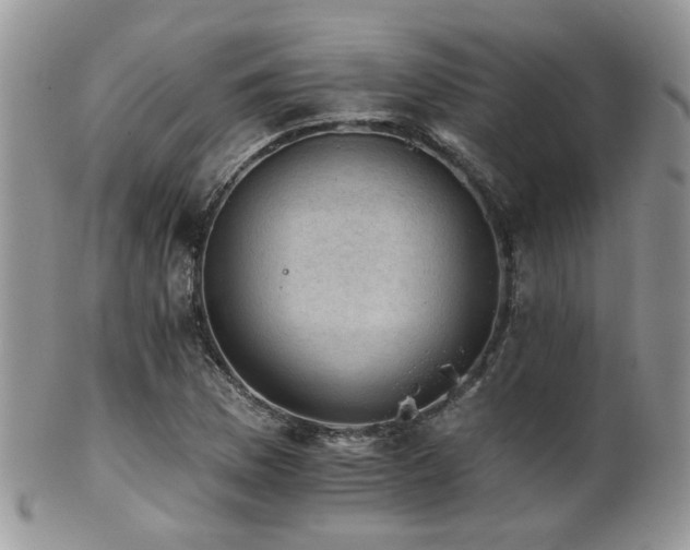 X0000102241169200807251253