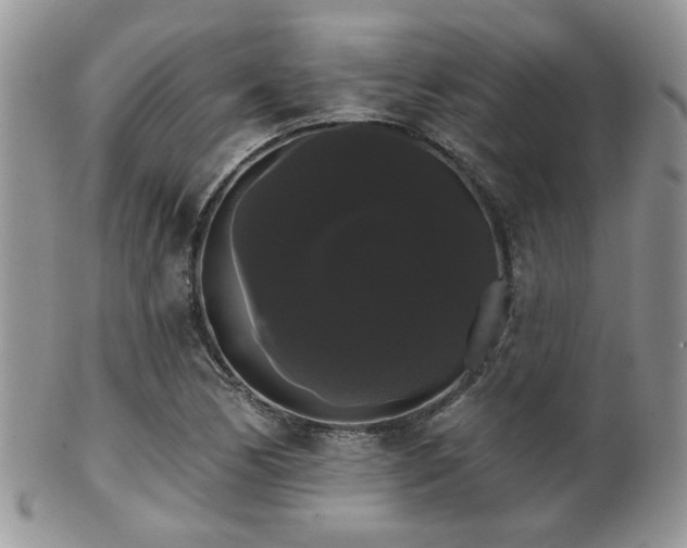 X0000102241170200807251253