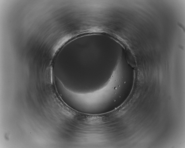 X0000102241171200807251253