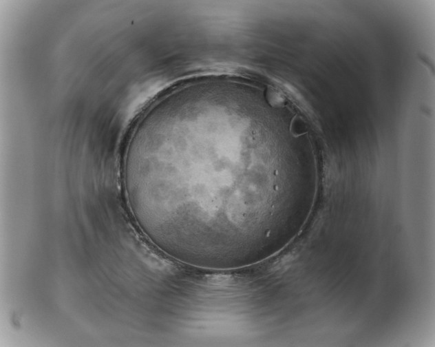 X0000102241172200807251253