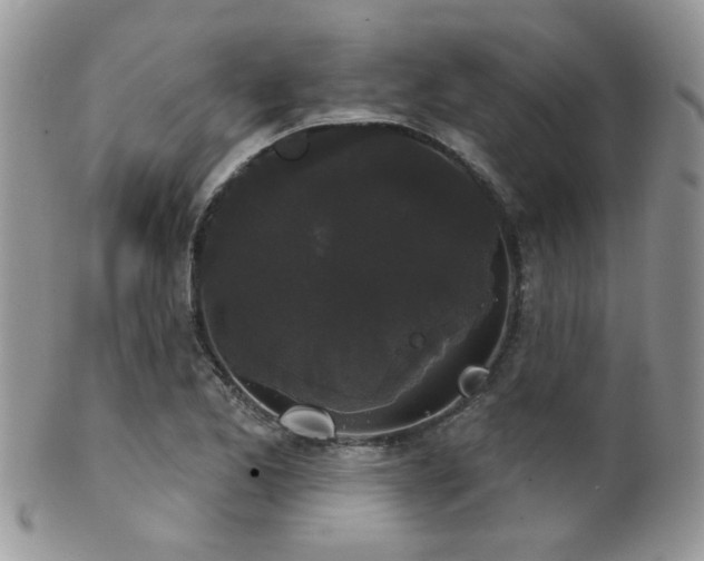 X0000102241173200807251253