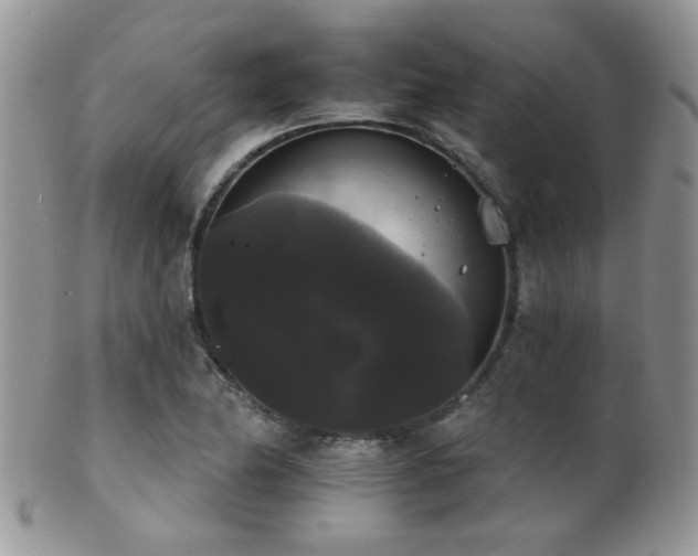 X0000102241174200807251253