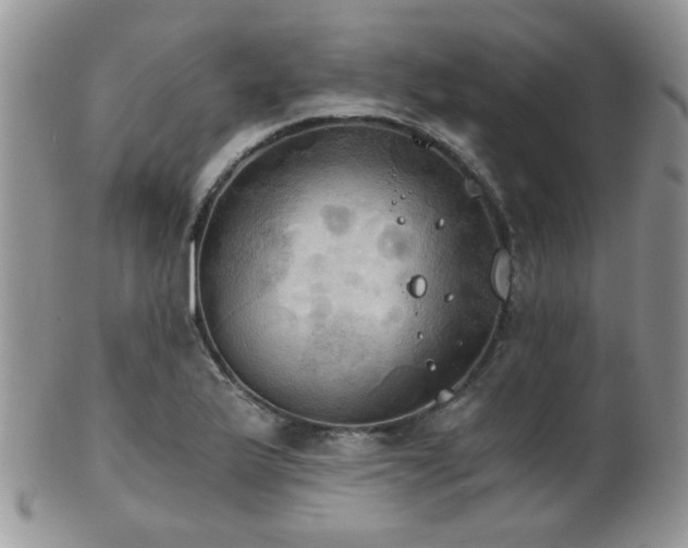 X0000102241175200807251253