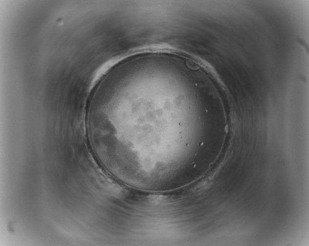 X0000102241176200807251253