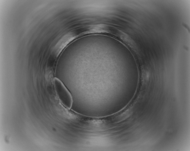 X0000102241177200807251253