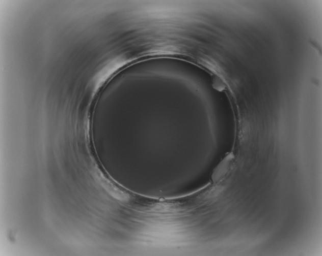 X0000102241179200807251253