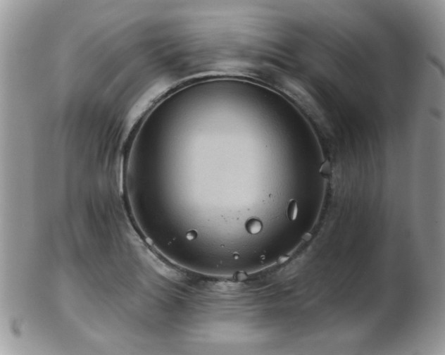 X0000102241180200807251253