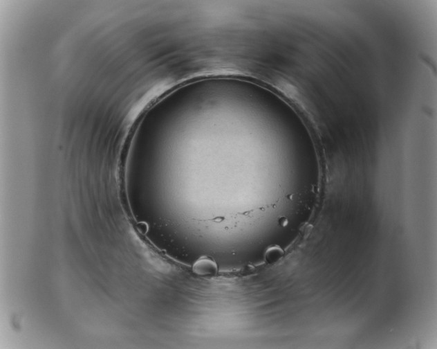 X0000102241181200807251253