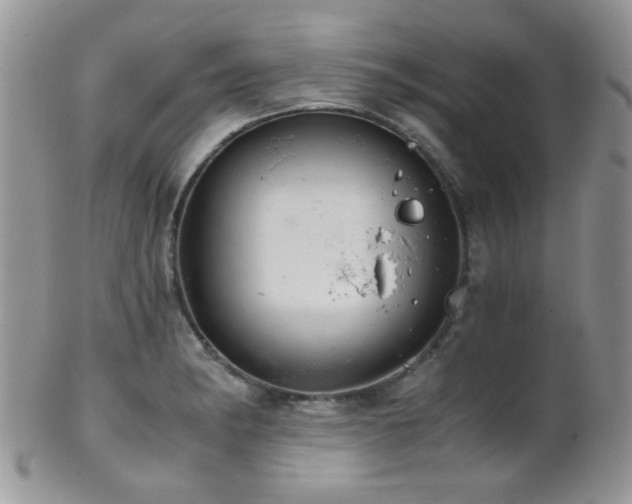 X0000102241182200807251253