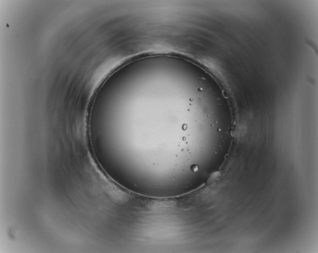 X0000102241183200807251253