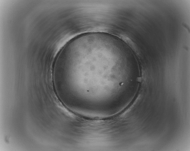 X0000102241184200807251253