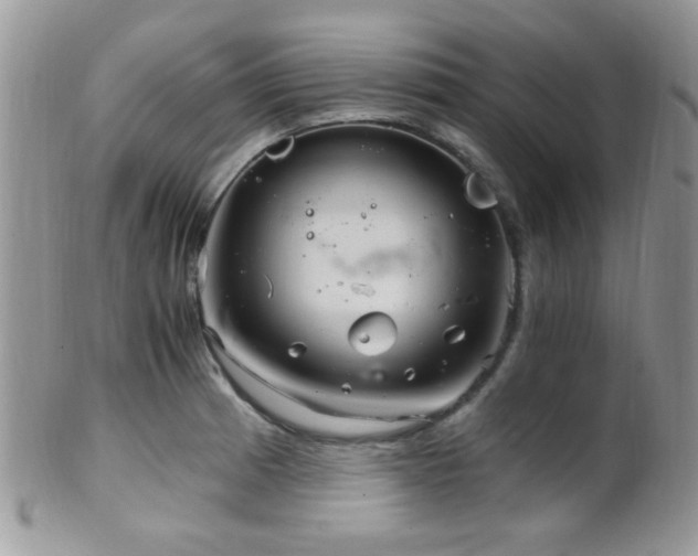 X0000102241185200807251253