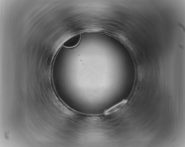 X0000102241186200807251253