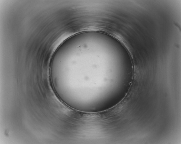 X0000102241187200807251253