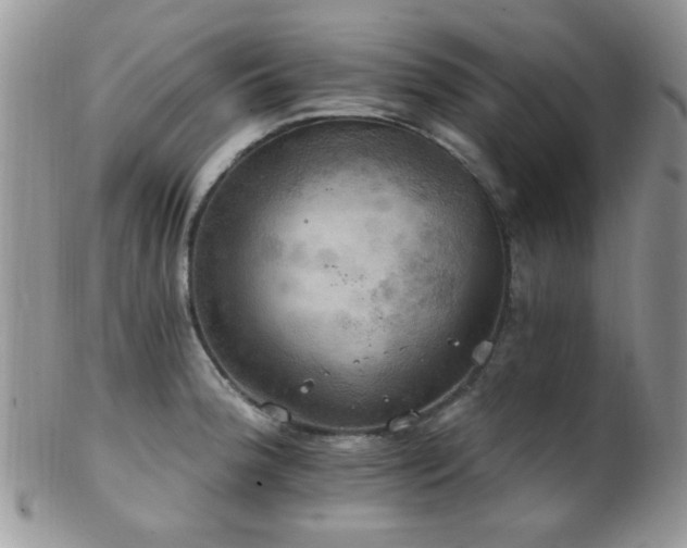 X0000102241188200807251253