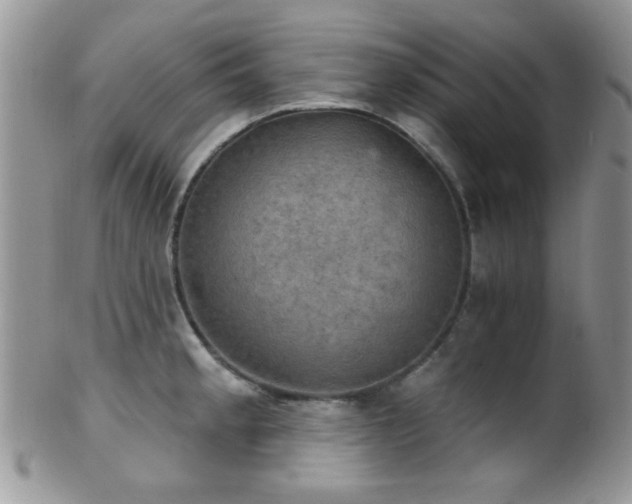 X0000102241189200807251253