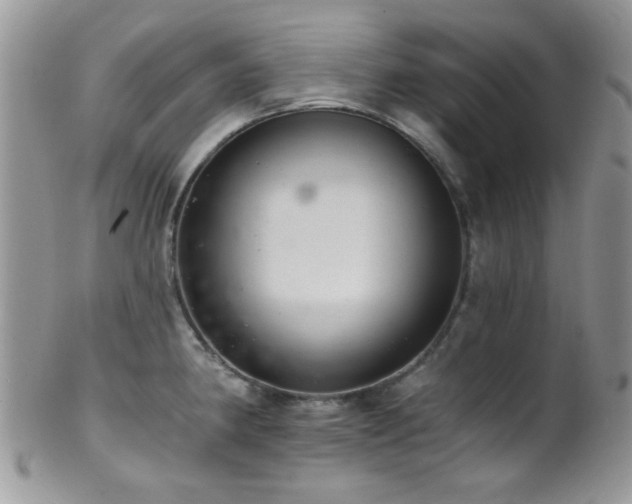 X0000102241190200807251253