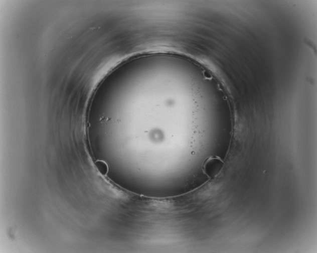 X0000102241191200807251253