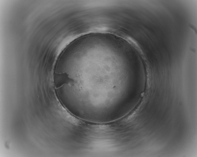 X0000102241192200807251253