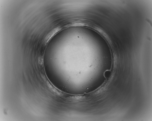 X0000102241193200807251253