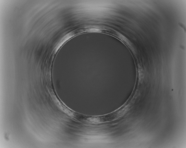 X0000102241194200807251253