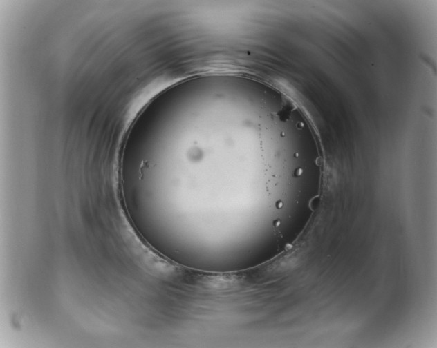 X0000102241195200807251253