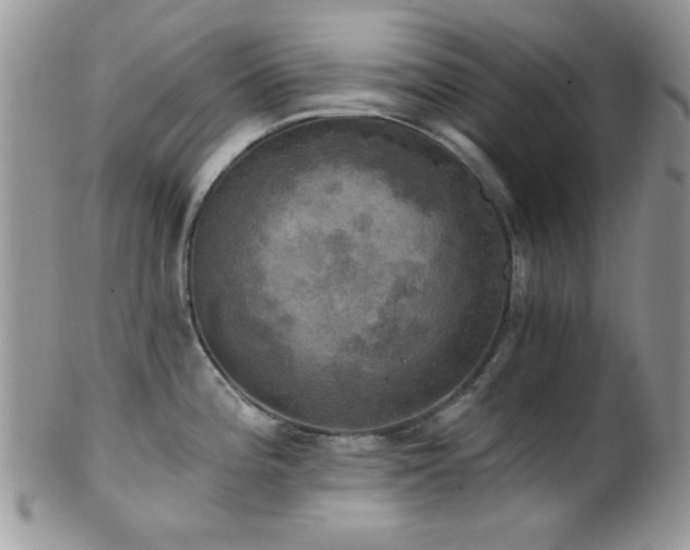 X0000102241196200807251253