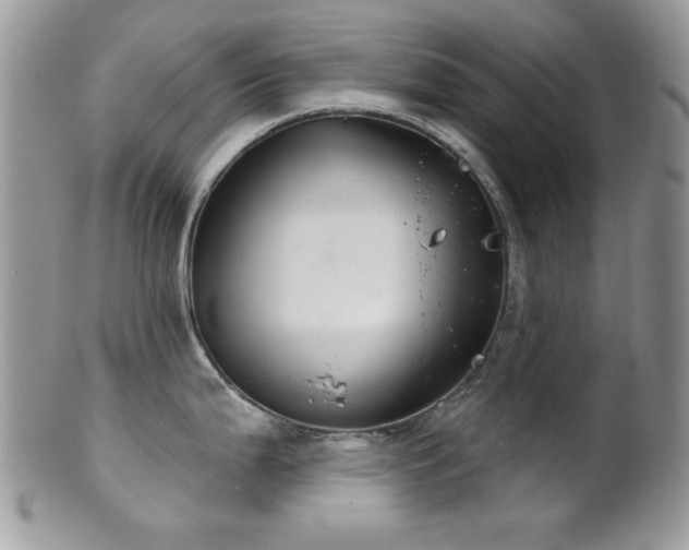 X0000102241199200807251252