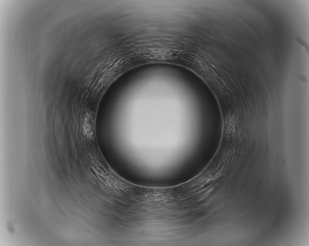 X0000102241202200807251252