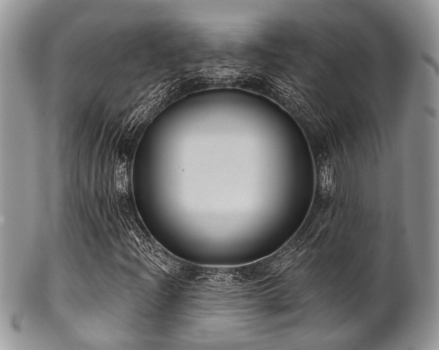 X0000102241204200807251252