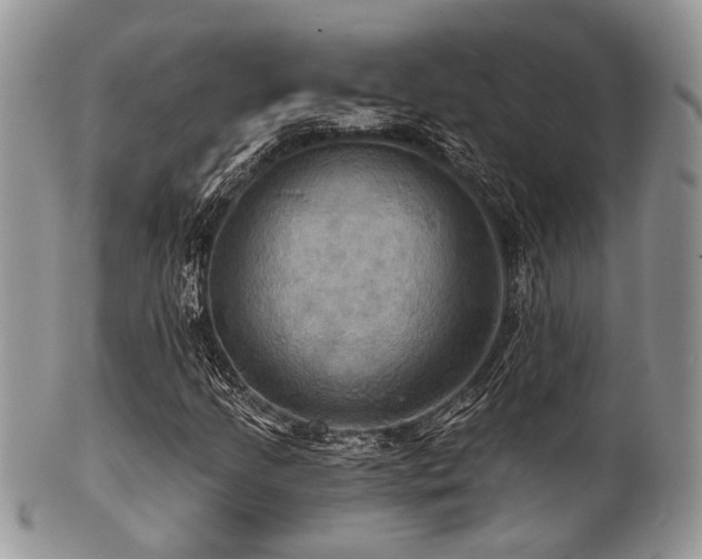 X0000102241205200807251252