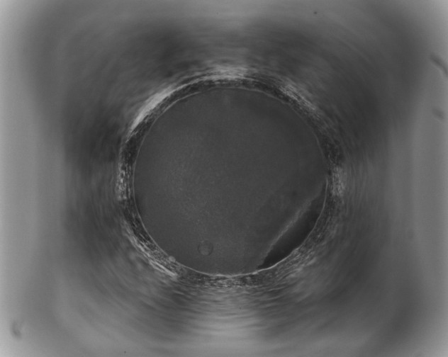 X0000102241208200807251252