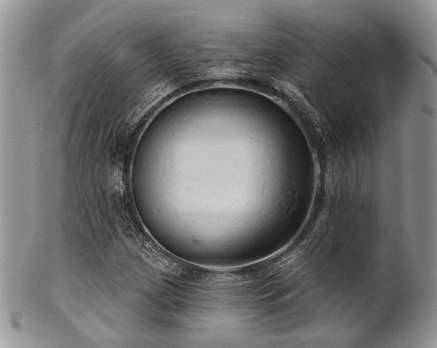 X0000102241209200807251252